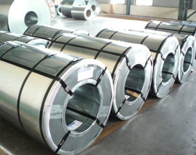 GALVANIZED STEEL COIL.JPG